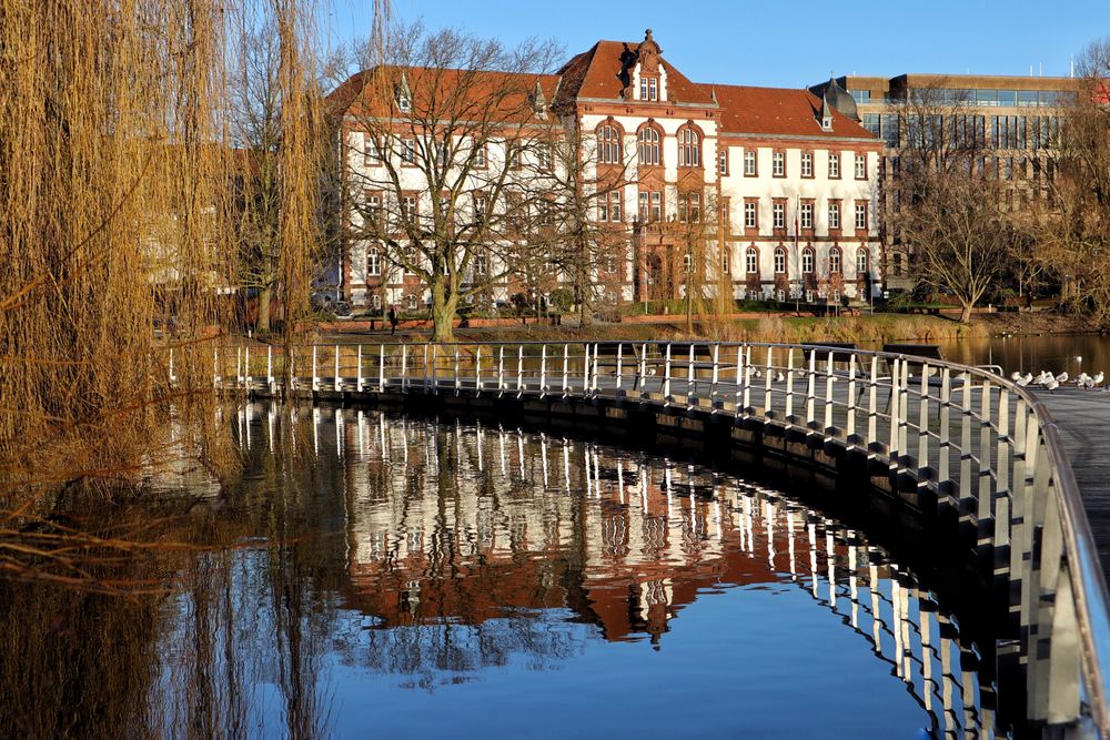 ich habe die Kurve gekriegt..... Foto & Bild spezial, teich, natur