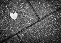 Ich habe die Liebe gefunden...