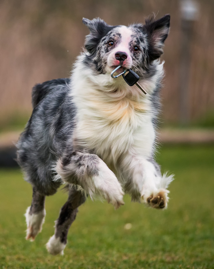 Ich habe die Schnauze voll und fahre jetzt nach Hause ....