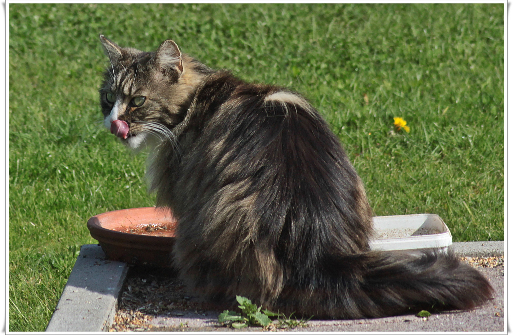 " Ich habe doch nur Wasser getrunken !"