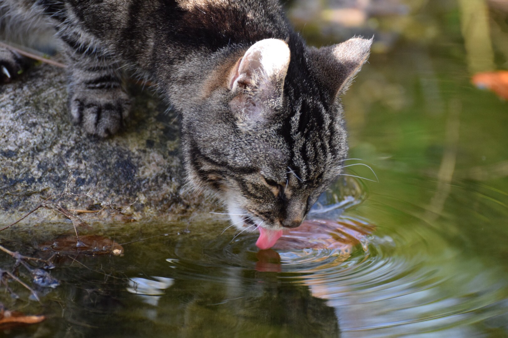 Ich habe Durst.....