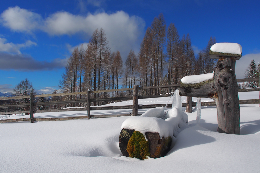 Ich habe ein wenig Schnee gefunden....