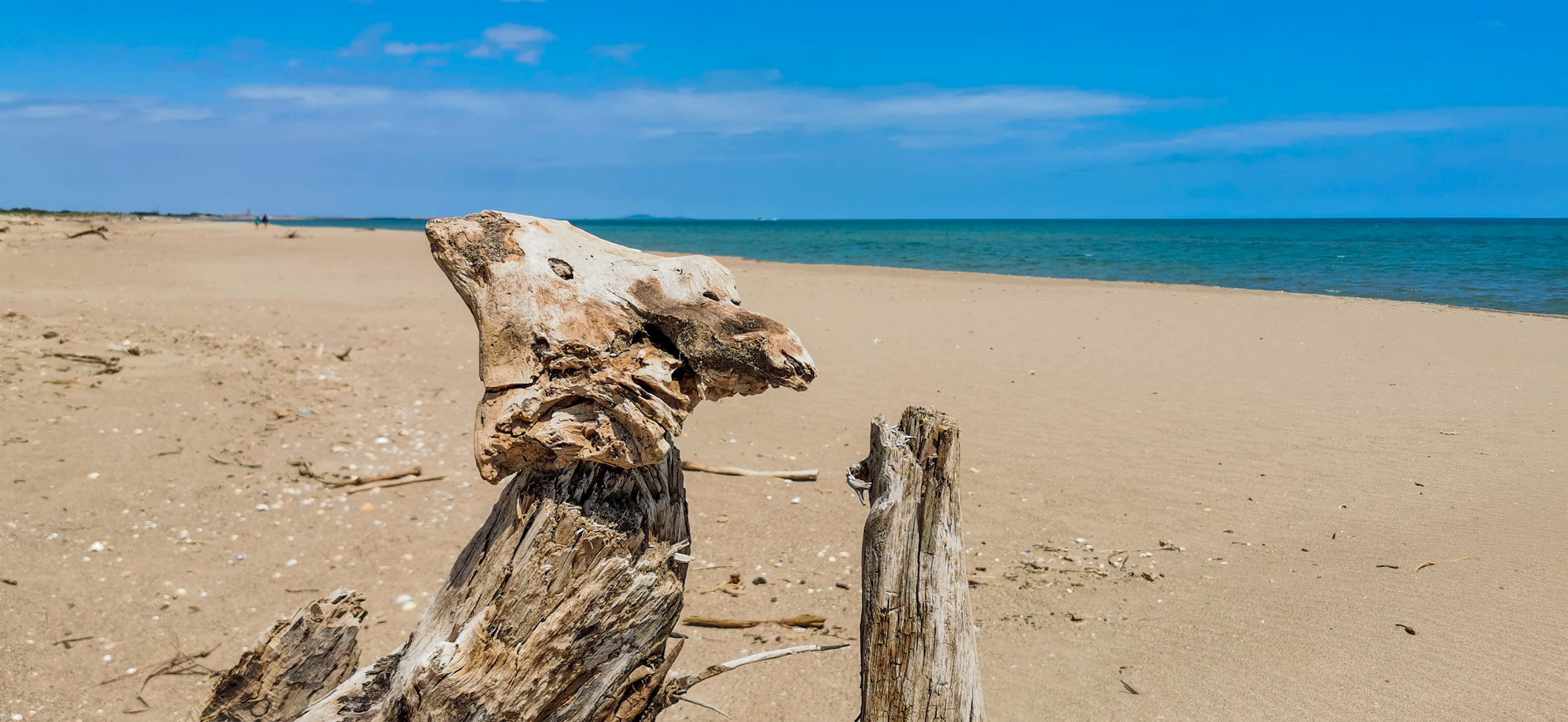 Ich habe einen Strandwächter eingestellt