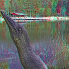 Ich habe einen Vogel... (3D-Anaglyphe)