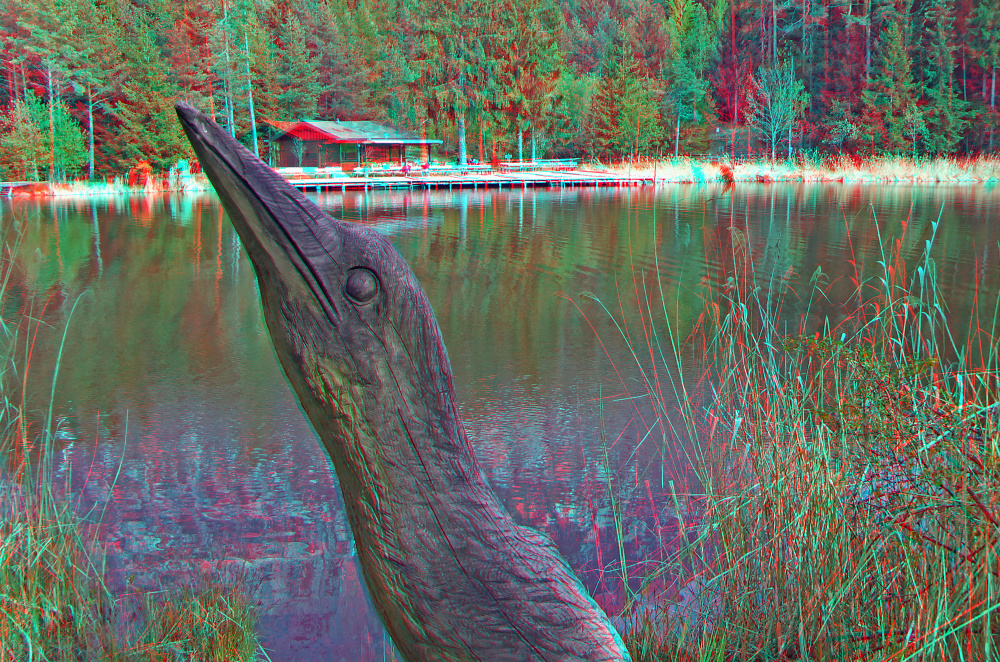 Ich habe einen Vogel... (3D-Anaglyphe)