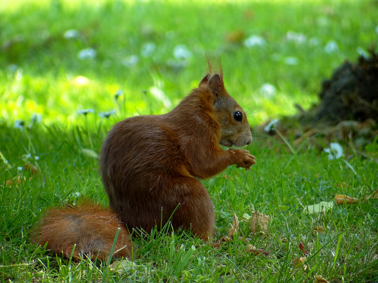 "Ich habe hunger..."