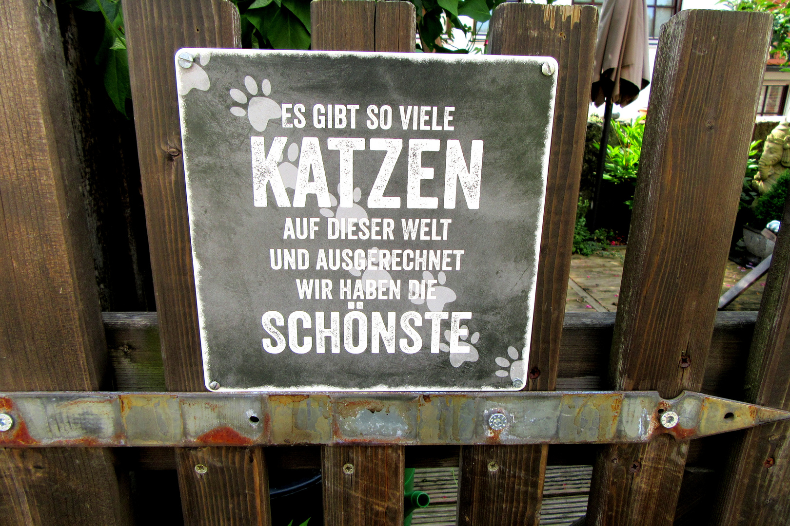 Ich habe keine Katze ....