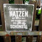 Ich habe keine Katze ....