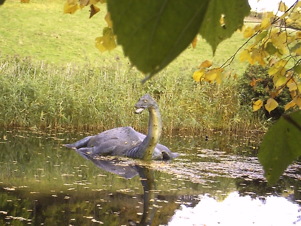 Ich habe Nessie gesehen! ;-)