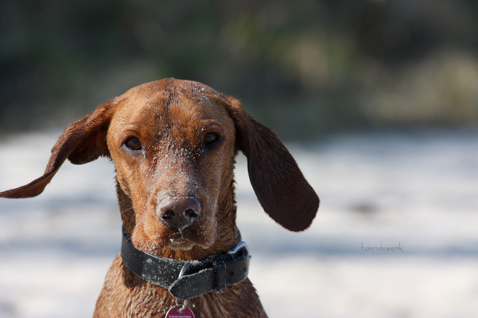 ICH habe Sand im Gesicht? Dann musst Du mal die Anderen sehen ;-)