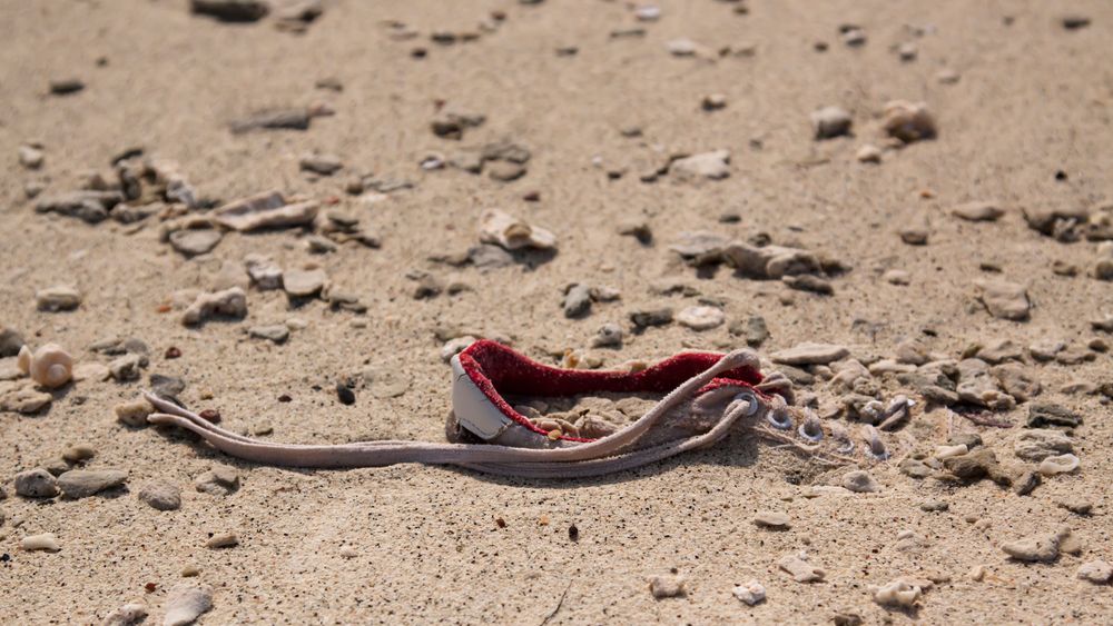 ich habe wohl doch sand im schuh!