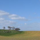 Ich hab´s gefunden: Das Grüne Herz Australiens