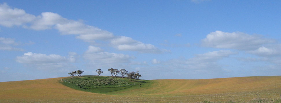 Ich hab´s gefunden: Das Grüne Herz Australiens