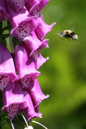 Ich habs ..... Ich habs :-)