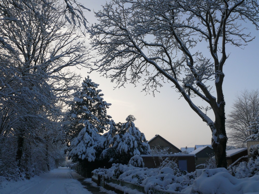 Ich hätt´den Schnee gern zurück