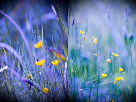 Ich hätte da mal eine Verständnisfrage...