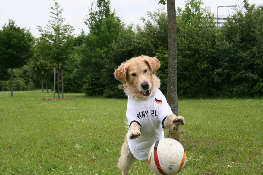 ich halt den ball......