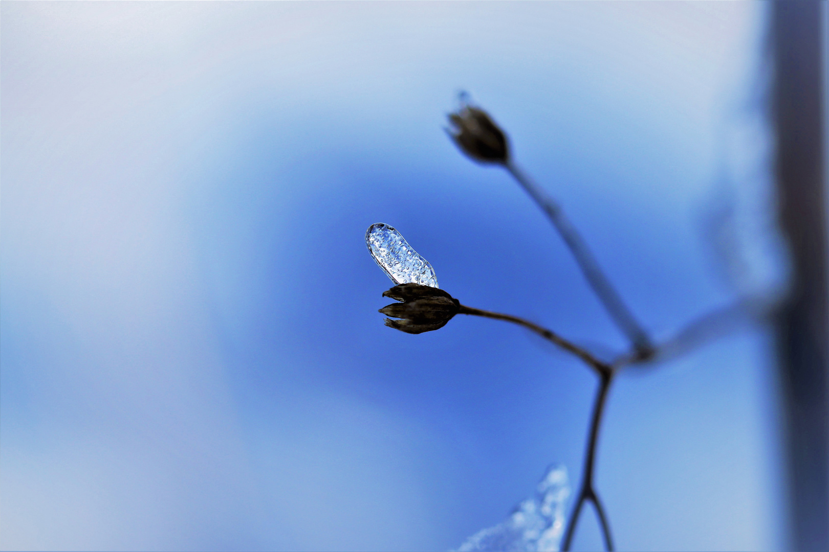 Ich halt Dir das mal so.... Hilfe aus der Natur;)