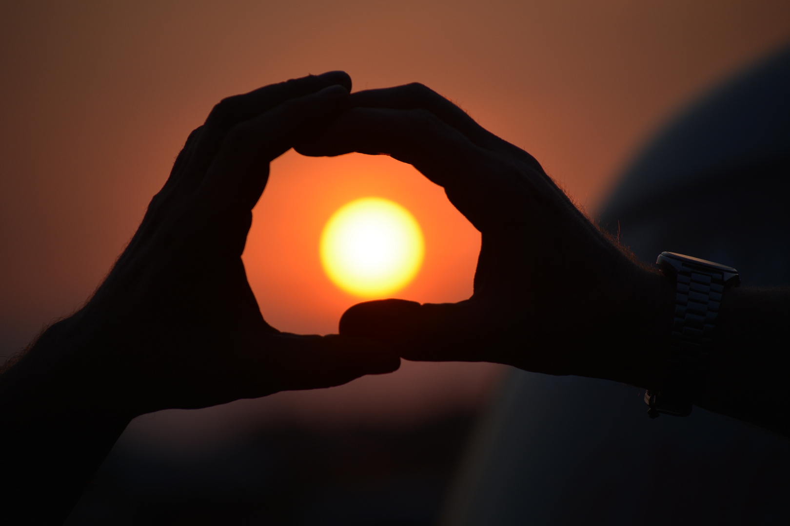 Ich halt für euch die Sonne fest