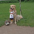 Ich halte jeden Ball!