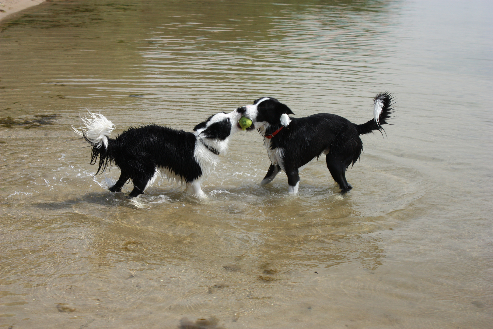 "Ich hatte den Ball zuerst", "Nein ich" :-D