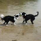 "Ich hatte den Ball zuerst", "Nein ich" :-D