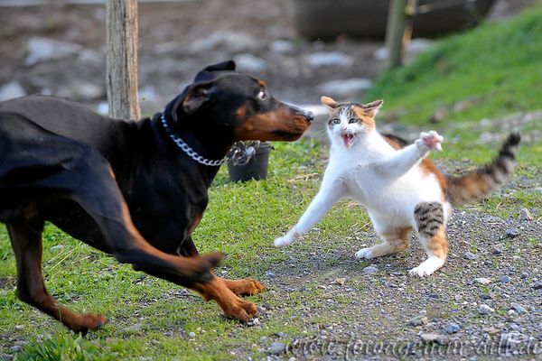 "Ich hatte Dich gewarnt"