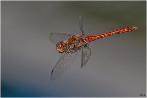 Ich hatte gerade (2) ... 