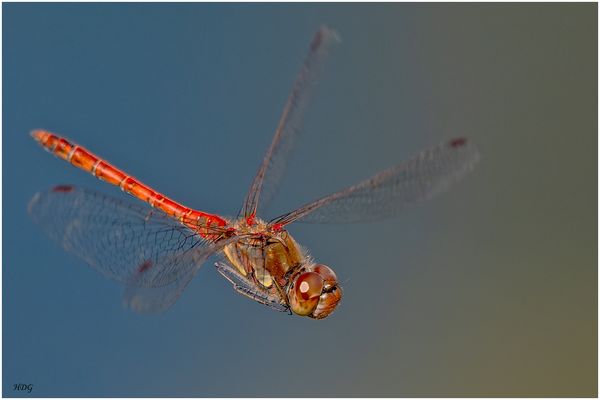 Ich hatte gerade (3) ... 