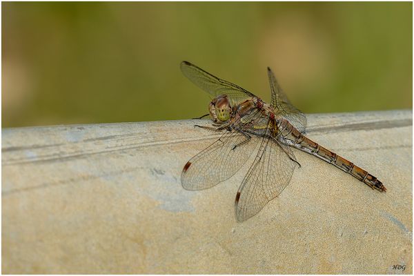 Ich hatte gerade ...