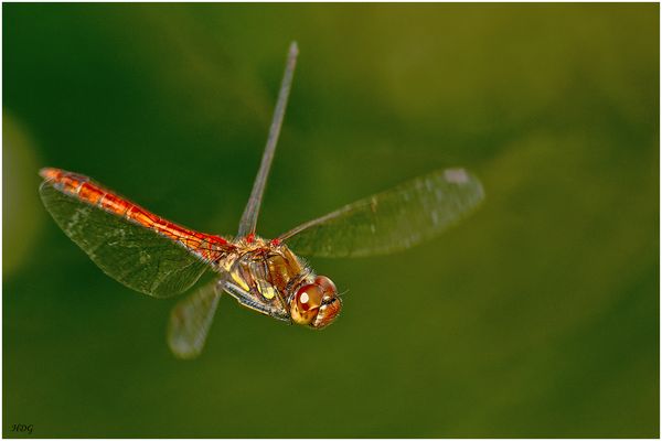 Ich hatte gerade ...