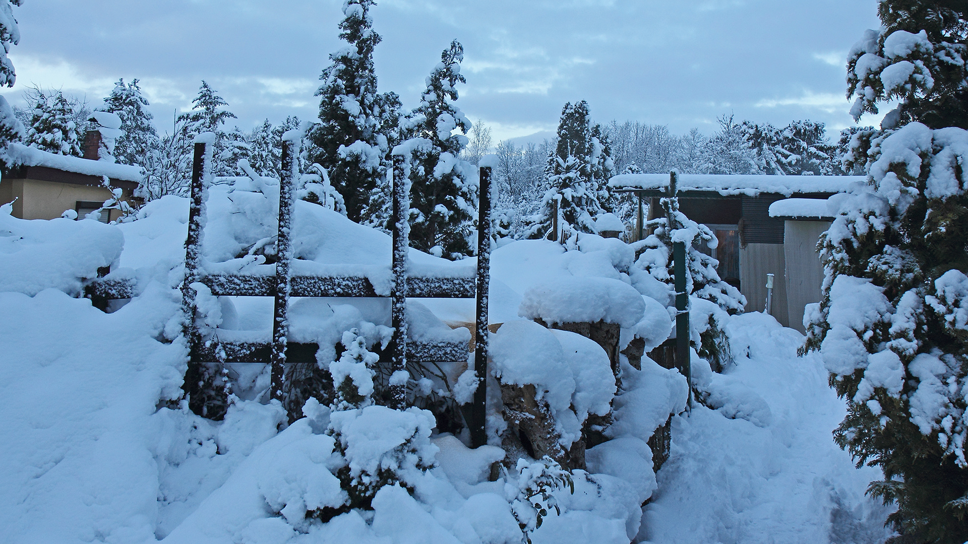 ich hatte Sonntag morgen noch vor 4 Uhr den Schnee schon mal ....