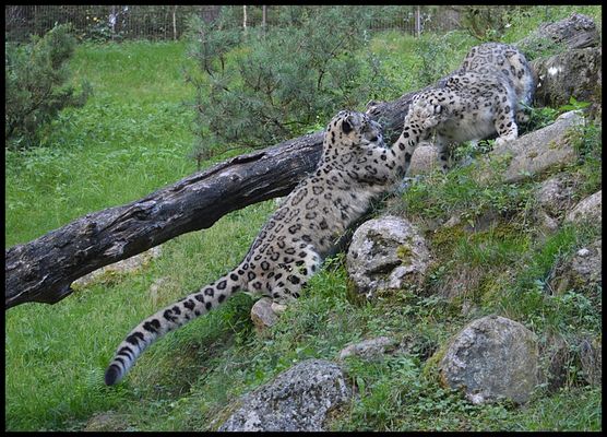 Ich hau Dir eine druff !!!