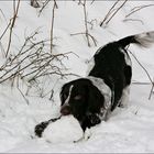 ..ich helf beim schneemannbauen