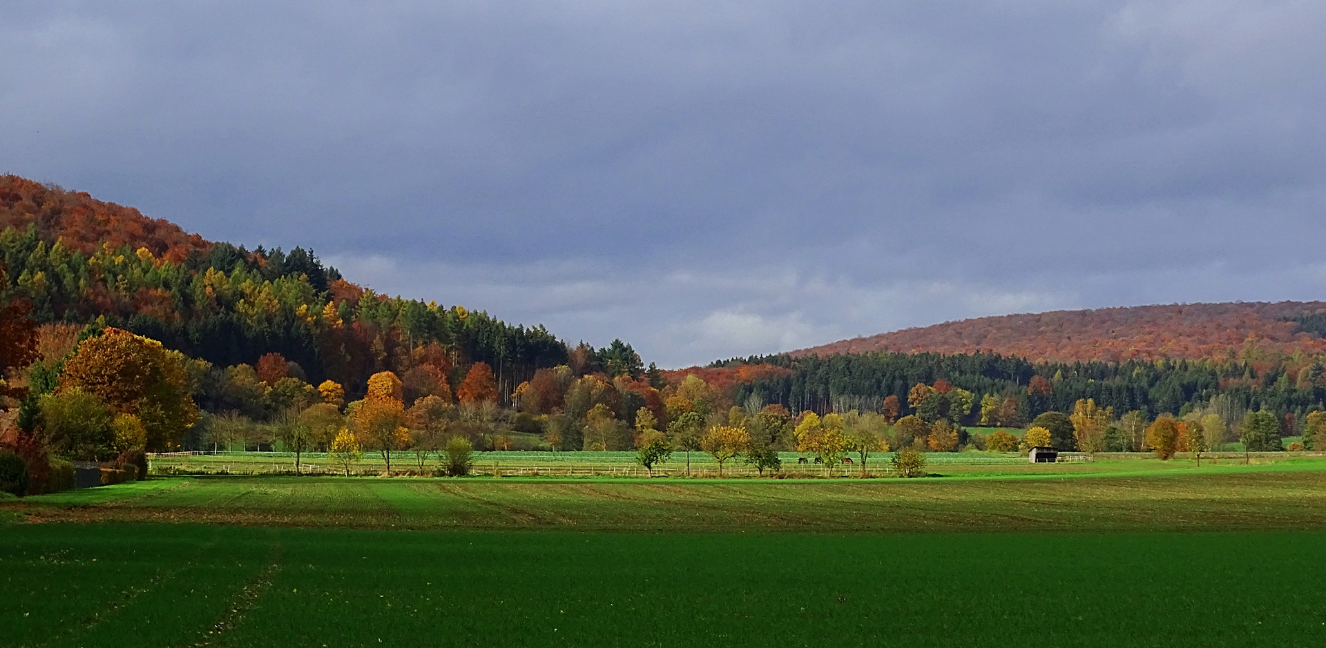 Ich hoffe, Foto & Bild natur, jahreszeiten, herbst solling Bilder