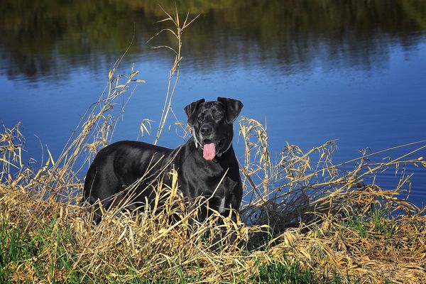 Ich hoffe, Ihr könnt rechnen: