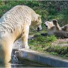 ich hol dich jetzt ins Wasser....nein!