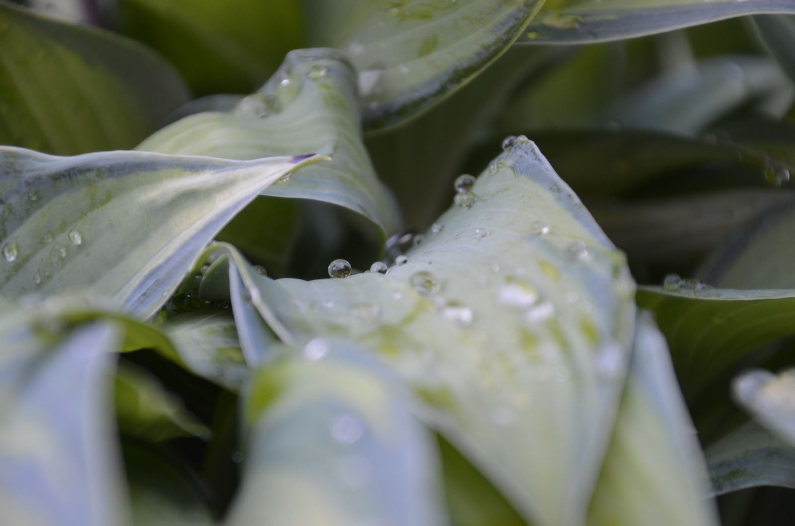 Ich in einem Wassertropfen