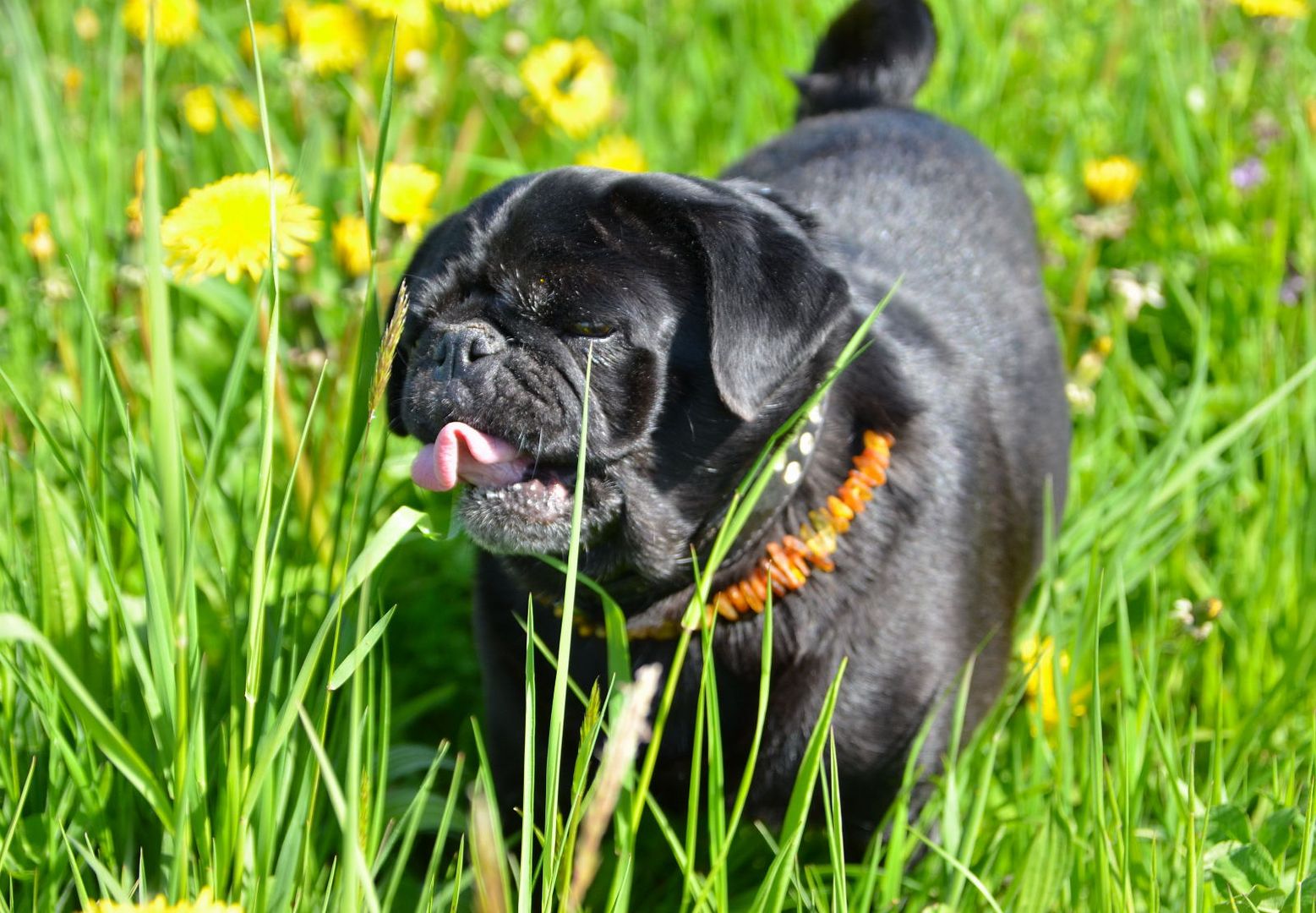 Ich kann den Frühling schmecken