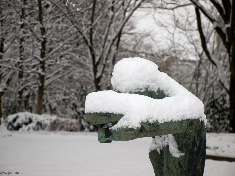 "Ich kann den vielen Schnee nicht mehr sehen!"