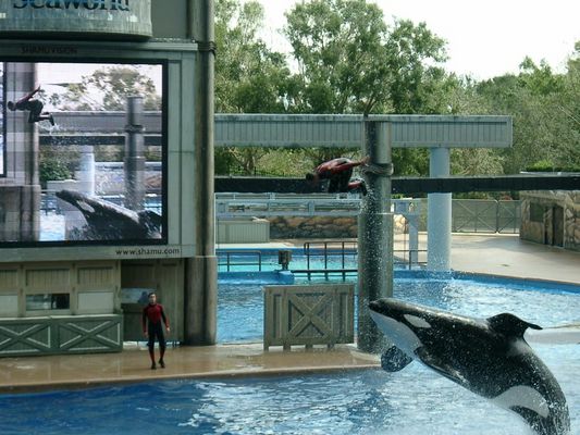 ich kann fliegen !!!