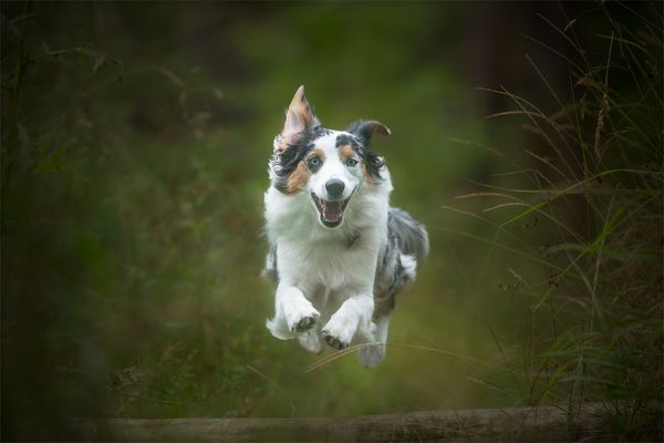 ich kann fliiiiiegen!