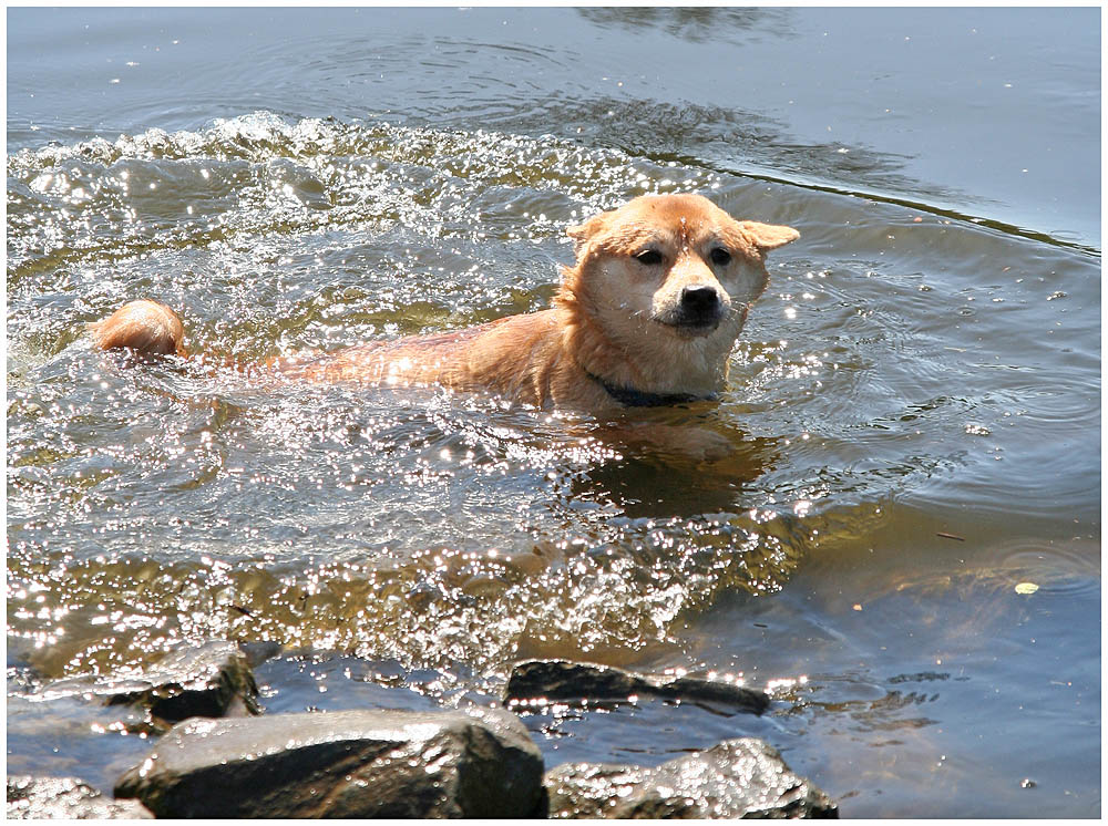 Ich kann ja doch schwimmen