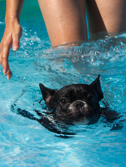 Ich kann schwimmen Teil 2