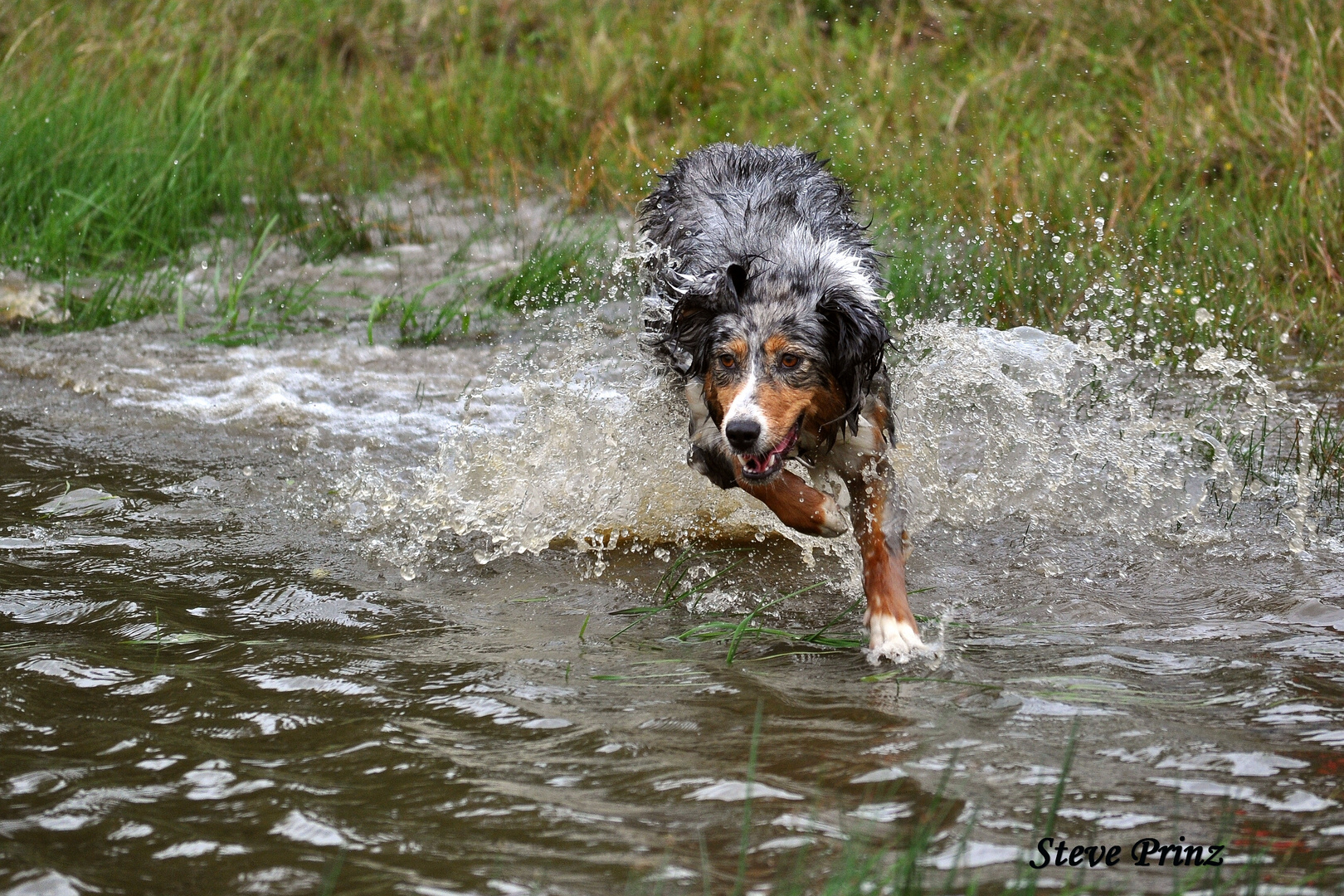 Ich kann über Wasser gehen!