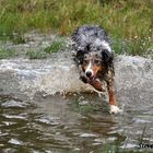 Ich kann über Wasser gehen!