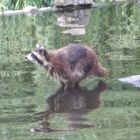 ich kann übers wasser gehen!!!