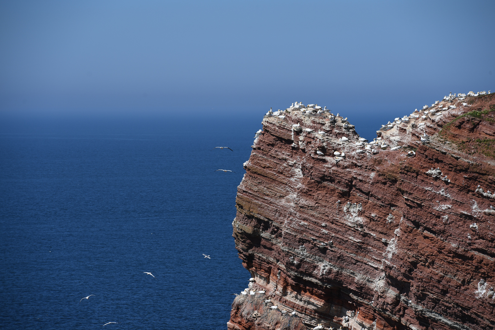 Ich könnte hier immer sitzen...Helgoland.