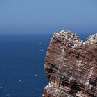 Ich könnte hier immer sitzen...Helgoland.