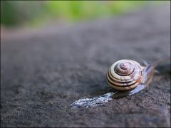 Ich krieche mal weg!